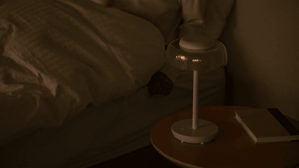 05-4.gif